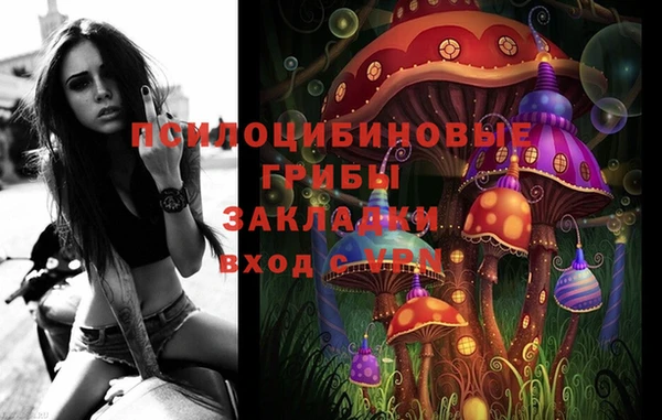 ПСИЛОЦИБИНОВЫЕ ГРИБЫ Армянск
